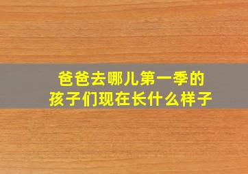 爸爸去哪儿第一季的孩子们现在长什么样子