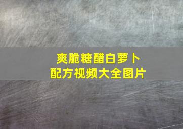 爽脆糖醋白萝卜配方视频大全图片