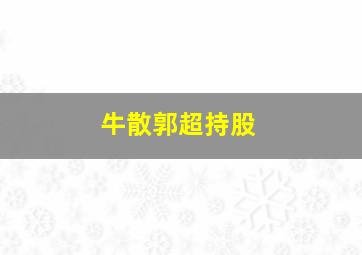 牛散郭超持股