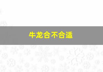 牛龙合不合适