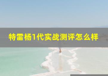 特雷杨1代实战测评怎么样