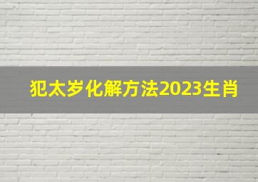 犯太岁化解方法2023生肖