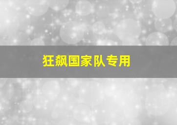 狂飙国家队专用