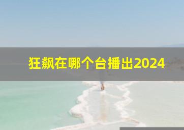 狂飙在哪个台播出2024