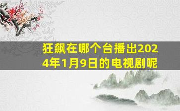 狂飙在哪个台播出2024年1月9日的电视剧呢