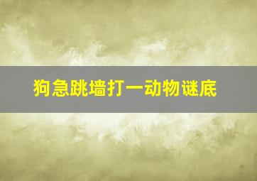 狗急跳墙打一动物谜底