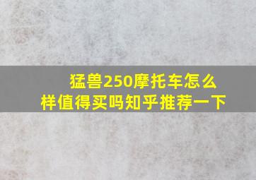 猛兽250摩托车怎么样值得买吗知乎推荐一下