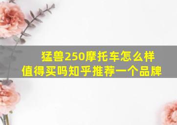 猛兽250摩托车怎么样值得买吗知乎推荐一个品牌