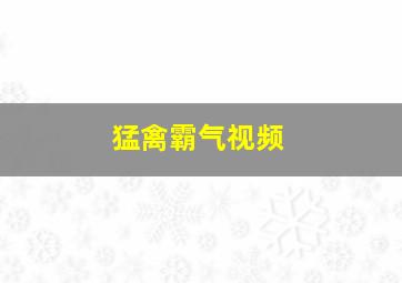 猛禽霸气视频