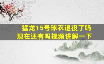 猛龙15号球衣退役了吗现在还有吗视频讲解一下