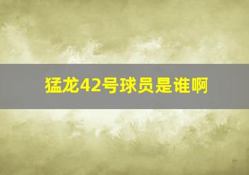 猛龙42号球员是谁啊