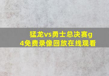 猛龙vs勇士总决赛g4免费录像回放在线观看