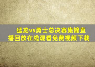 猛龙vs勇士总决赛集锦直播回放在线观看免费视频下载