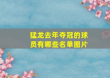 猛龙去年夺冠的球员有哪些名单图片