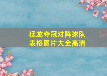 猛龙夺冠对阵球队表格图片大全高清