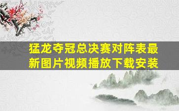 猛龙夺冠总决赛对阵表最新图片视频播放下载安装