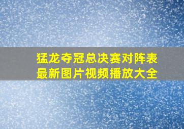 猛龙夺冠总决赛对阵表最新图片视频播放大全