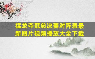 猛龙夺冠总决赛对阵表最新图片视频播放大全下载