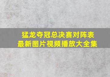 猛龙夺冠总决赛对阵表最新图片视频播放大全集