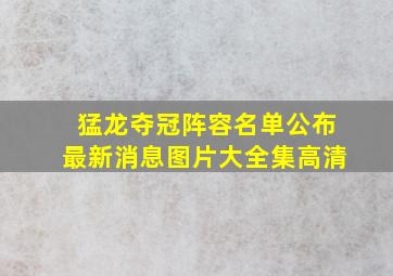 猛龙夺冠阵容名单公布最新消息图片大全集高清