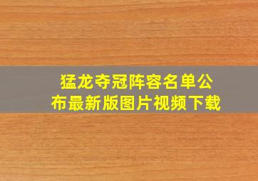 猛龙夺冠阵容名单公布最新版图片视频下载