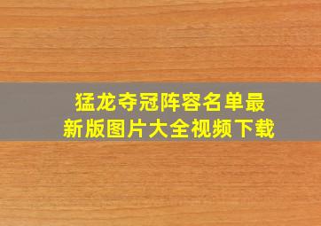 猛龙夺冠阵容名单最新版图片大全视频下载