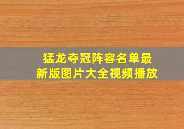 猛龙夺冠阵容名单最新版图片大全视频播放