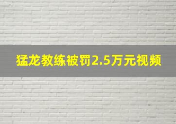 猛龙教练被罚2.5万元视频