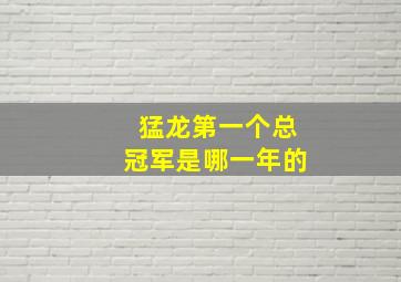 猛龙第一个总冠军是哪一年的