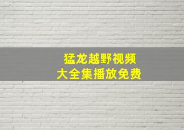 猛龙越野视频大全集播放免费