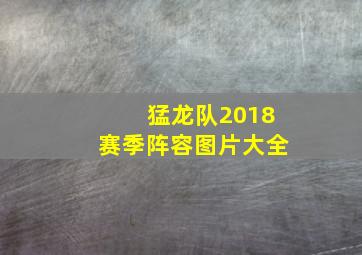 猛龙队2018赛季阵容图片大全