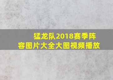 猛龙队2018赛季阵容图片大全大图视频播放