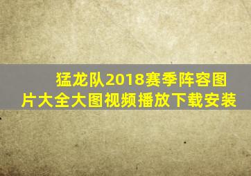 猛龙队2018赛季阵容图片大全大图视频播放下载安装