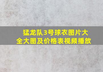 猛龙队3号球衣图片大全大图及价格表视频播放