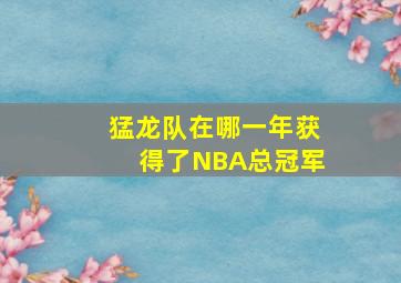 猛龙队在哪一年获得了NBA总冠军