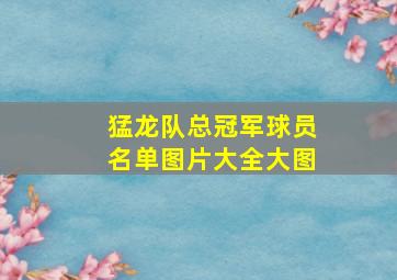 猛龙队总冠军球员名单图片大全大图