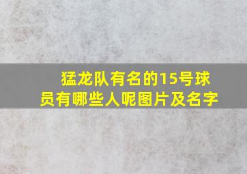 猛龙队有名的15号球员有哪些人呢图片及名字