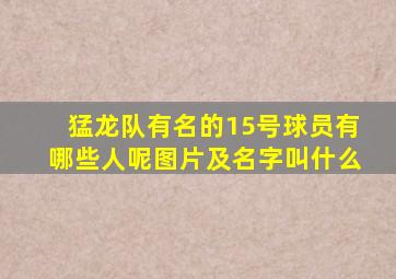 猛龙队有名的15号球员有哪些人呢图片及名字叫什么