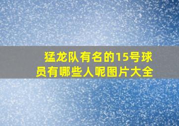 猛龙队有名的15号球员有哪些人呢图片大全