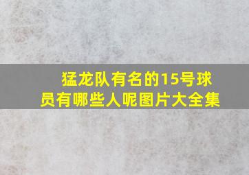 猛龙队有名的15号球员有哪些人呢图片大全集