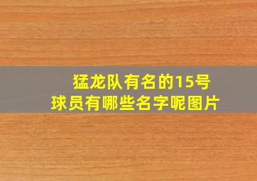 猛龙队有名的15号球员有哪些名字呢图片