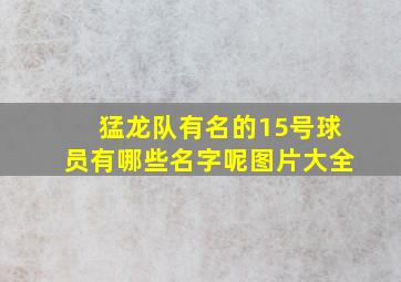 猛龙队有名的15号球员有哪些名字呢图片大全