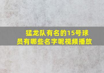 猛龙队有名的15号球员有哪些名字呢视频播放