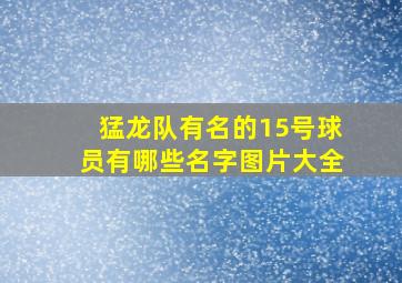 猛龙队有名的15号球员有哪些名字图片大全