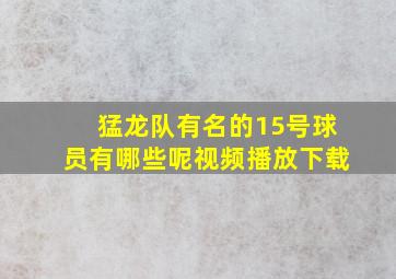 猛龙队有名的15号球员有哪些呢视频播放下载