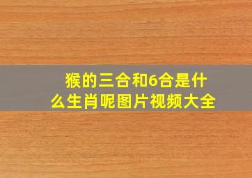 猴的三合和6合是什么生肖呢图片视频大全