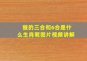 猴的三合和6合是什么生肖呢图片视频讲解