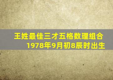 王姓最佳三才五格数理组合1978年9月初8辰时出生