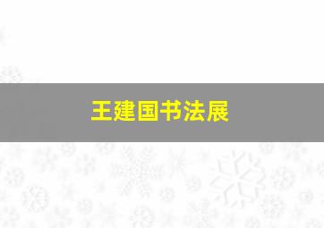 王建国书法展