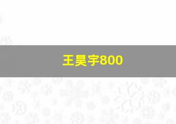 王昊宇800